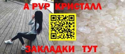 стаф Кунгур