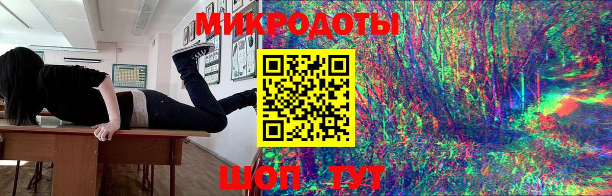 Галлюциногенные грибы Psilocybe Якутск