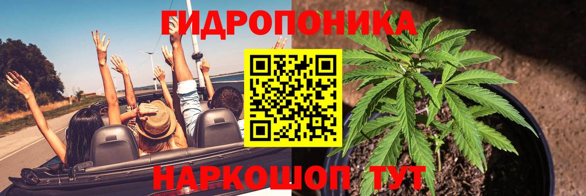 Каннабис конопля Якутск